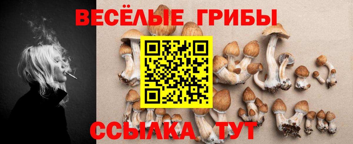 Галлюциногенные грибы Magic Shrooms Зима